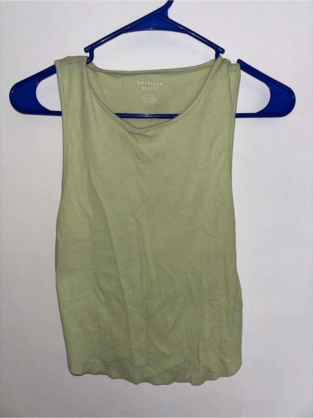American Eagle Outfitters Sage Green Ribbed Tank